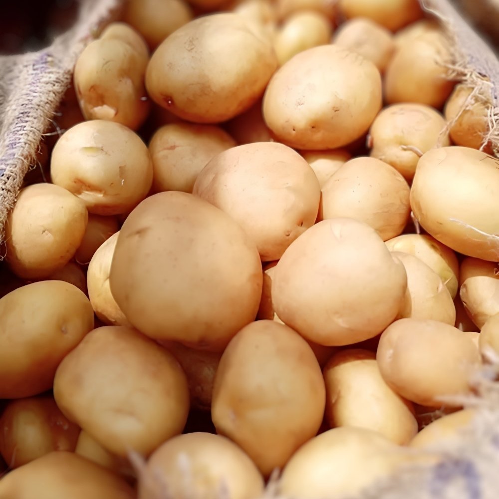 Indian potato suppliers
