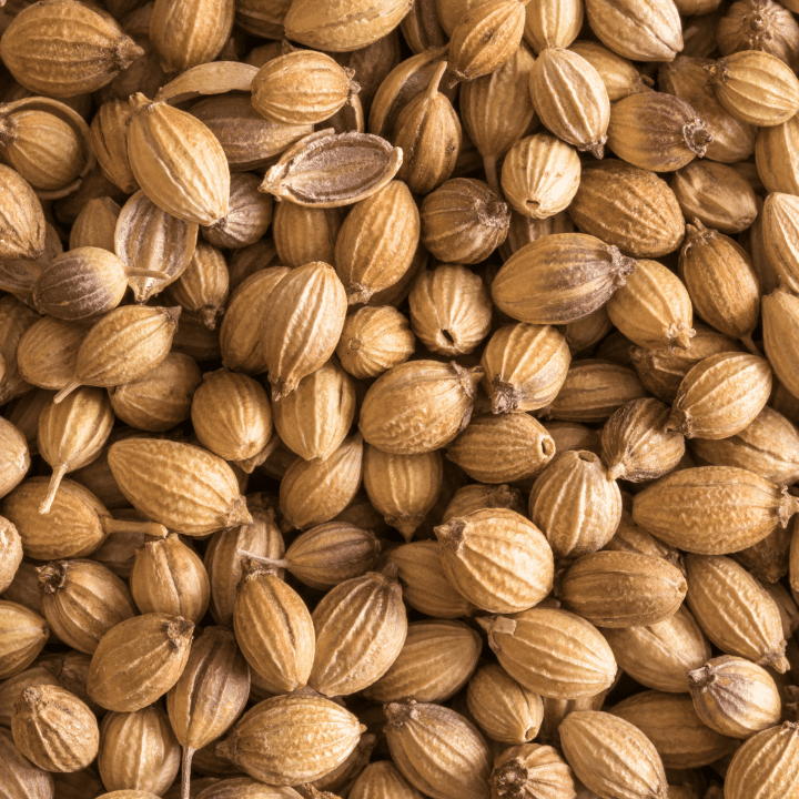 Coriander Seeds