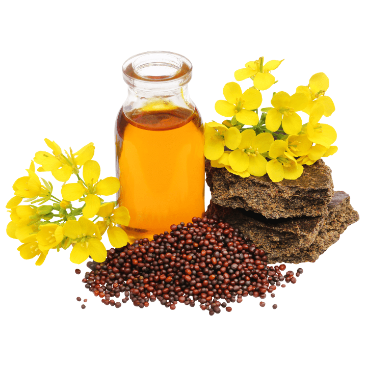 Mustard Oil
