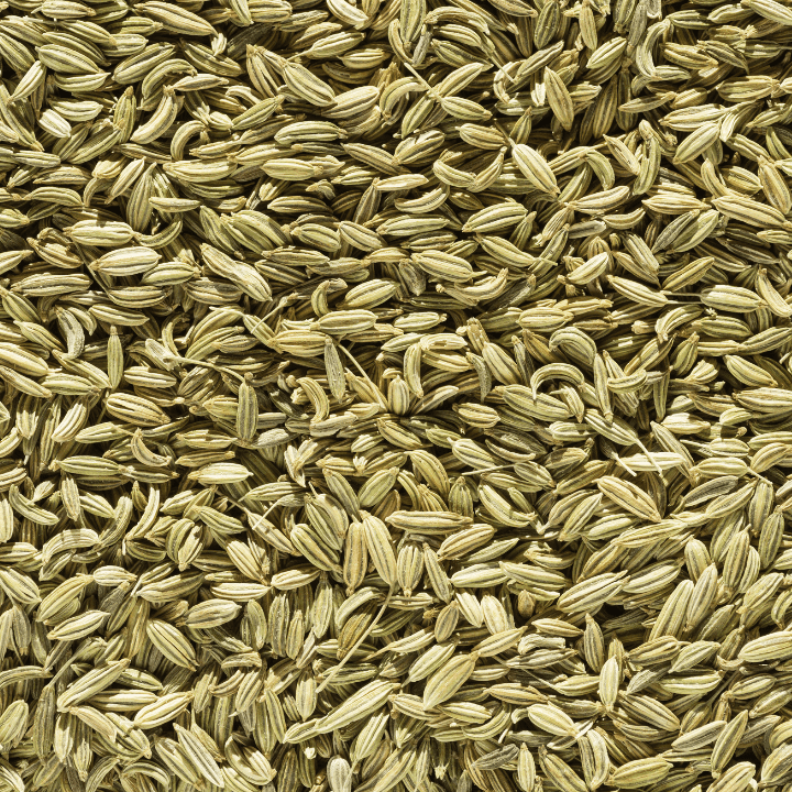 Fennel Seeds