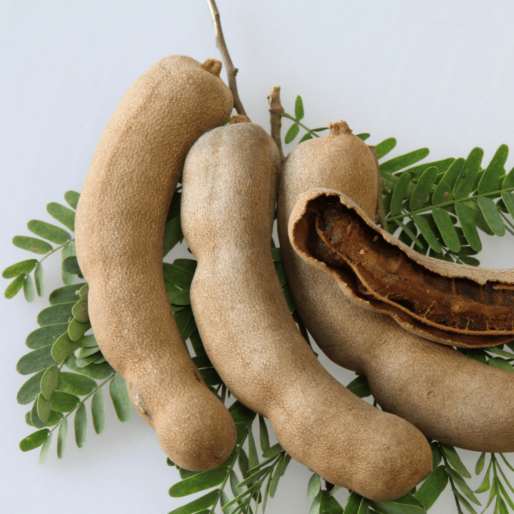 Tamarind