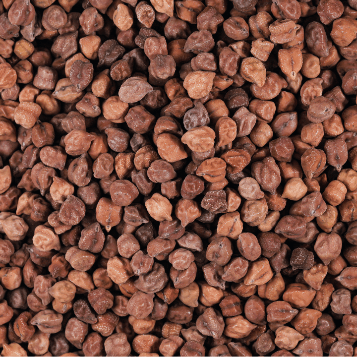 Brown Chickpeas