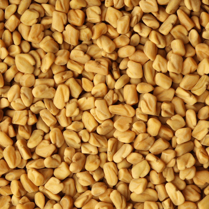 Fenugreek Seeds