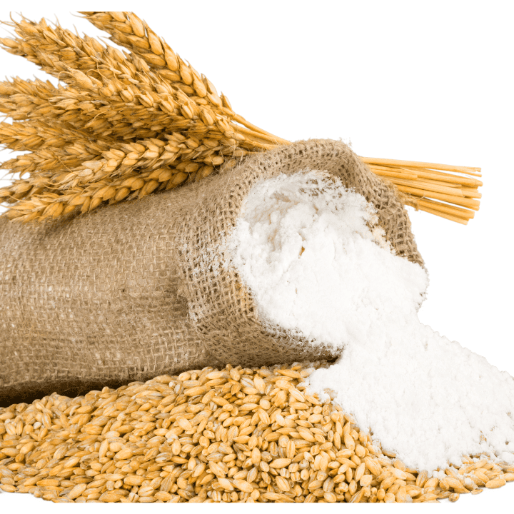 Wheat Flour